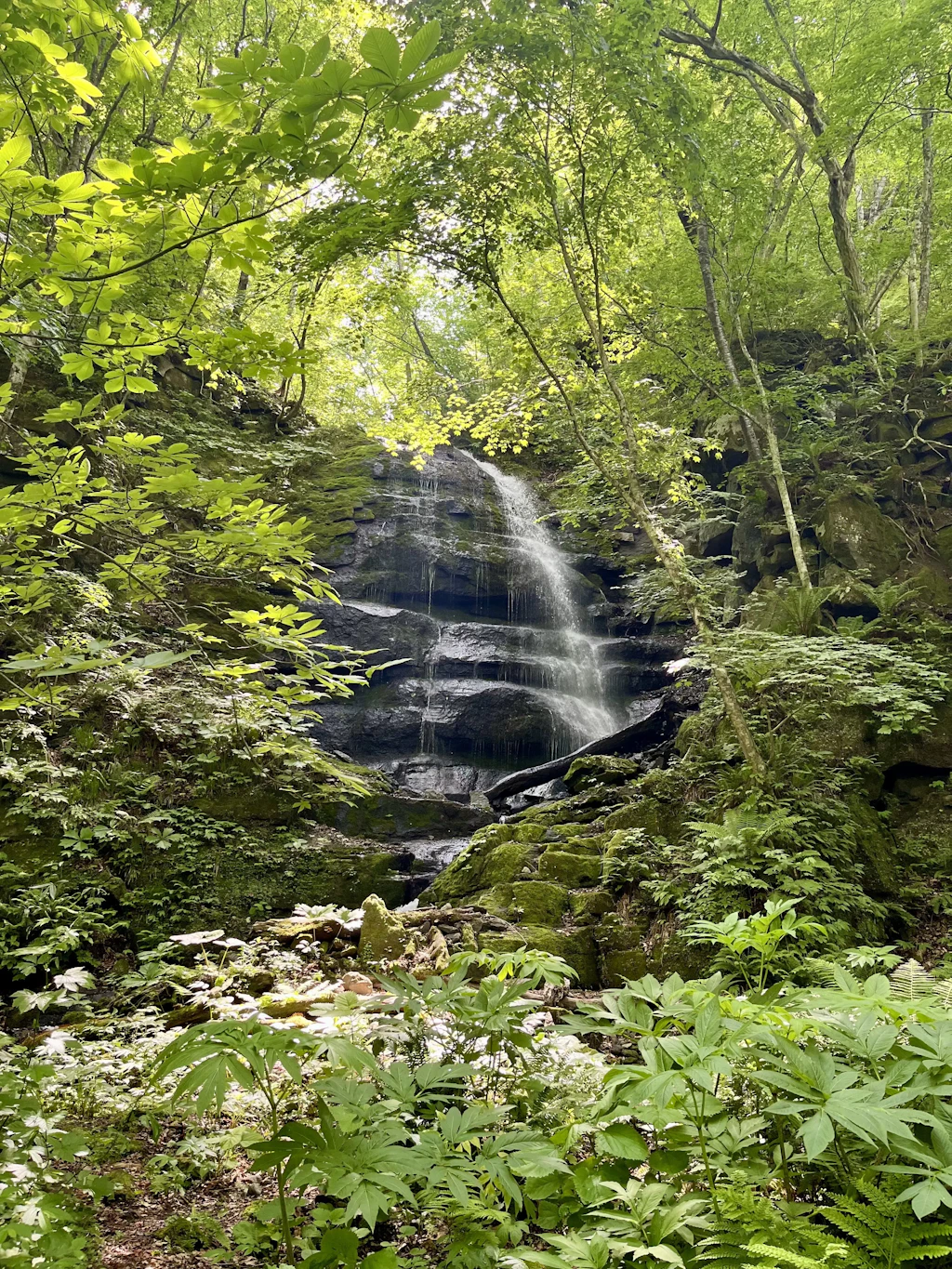 Oirase-Keiryu-Hiking-9