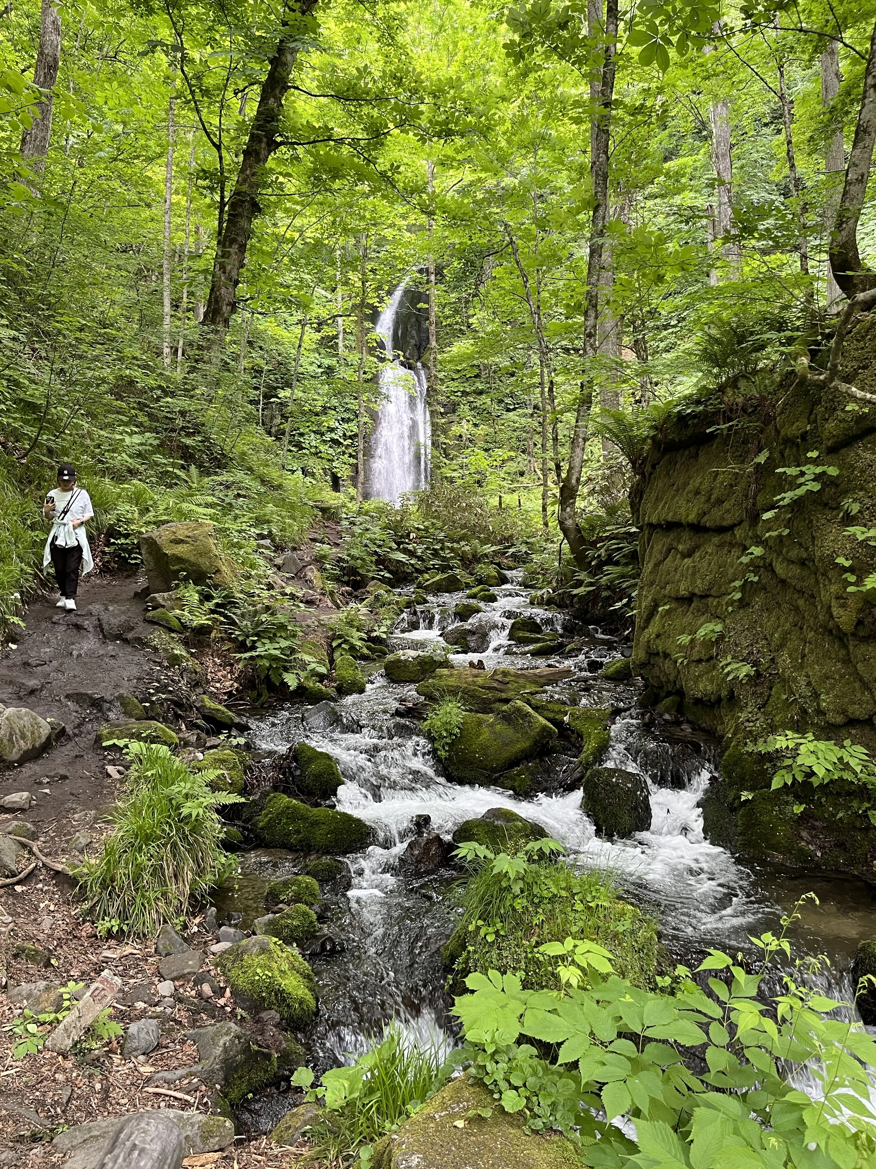 Oirase-Keiryu-Hiking-14