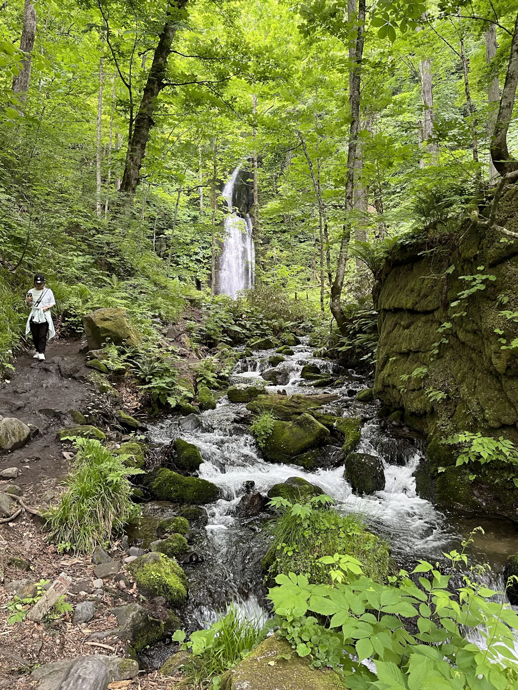 Oirase-Keiryu-Hiking-14