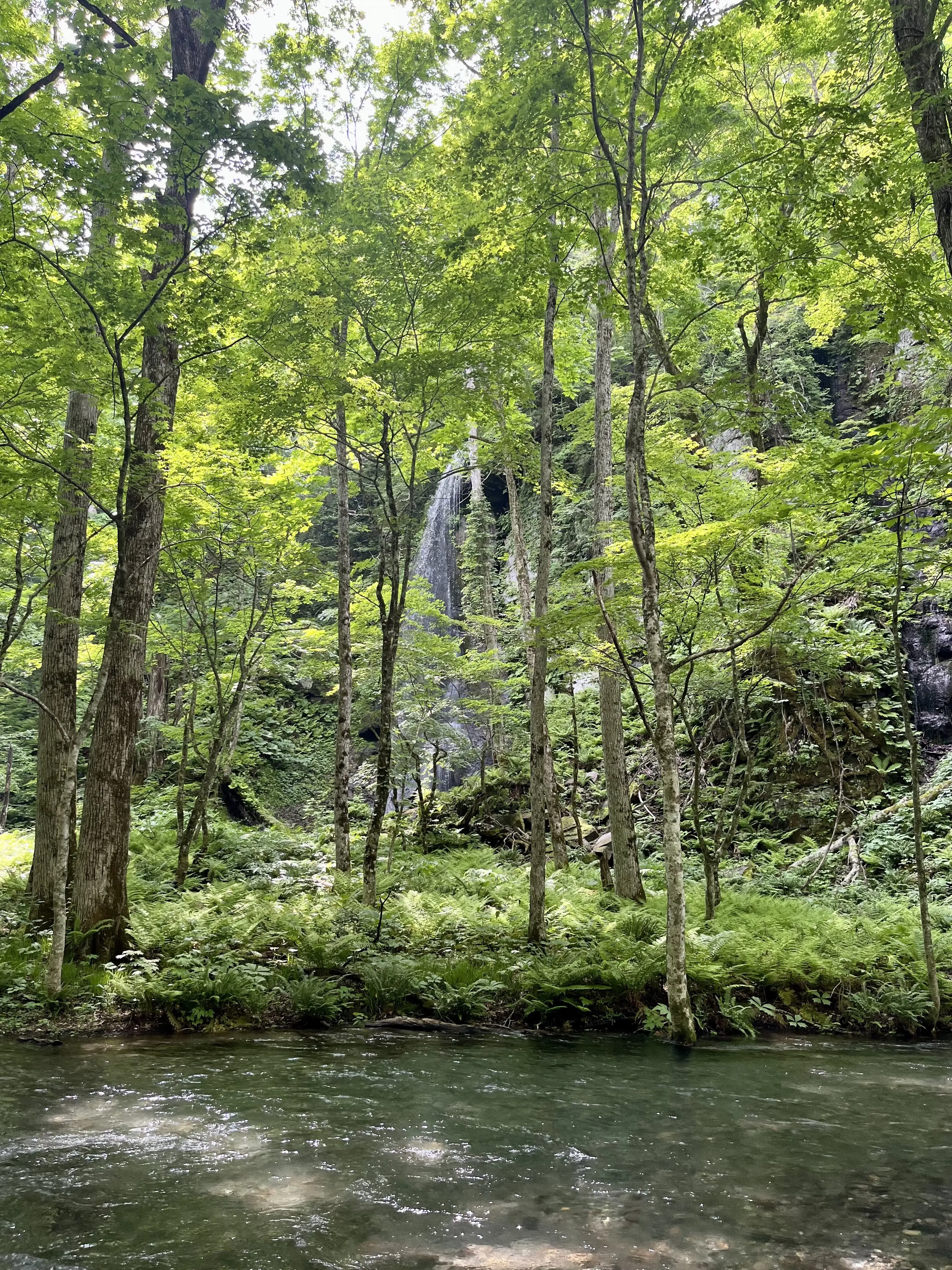 Oirase-Keiryu-Hiking-19