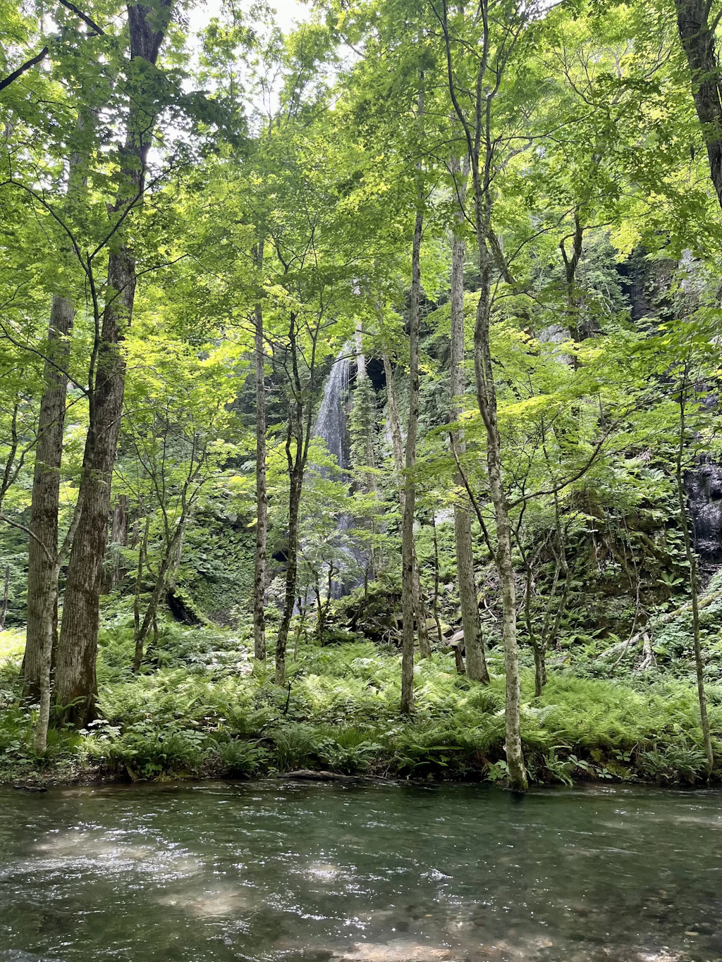 Oirase-Keiryu-Hiking-19