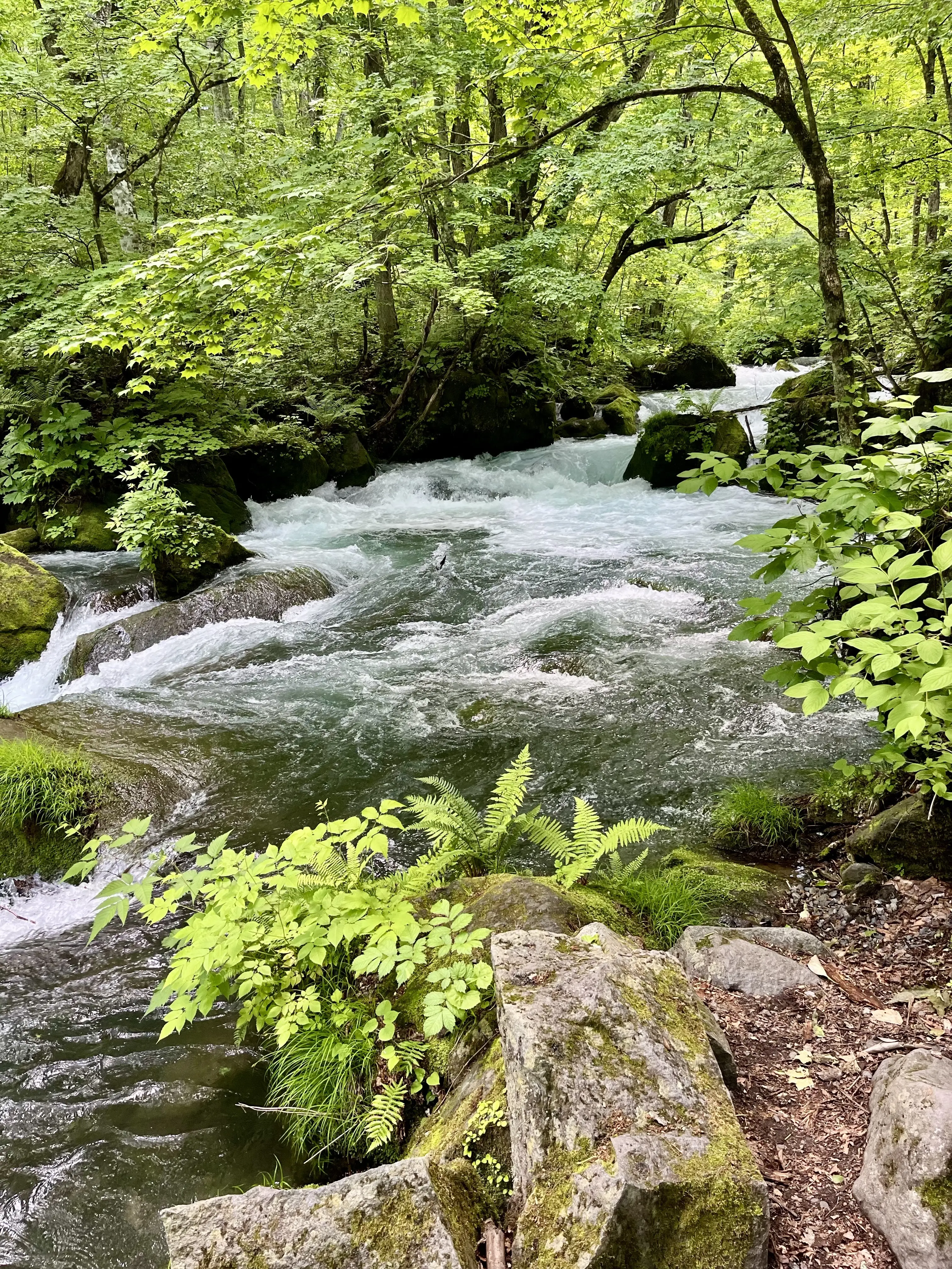 Oirase-Keiryu-Hiking-6