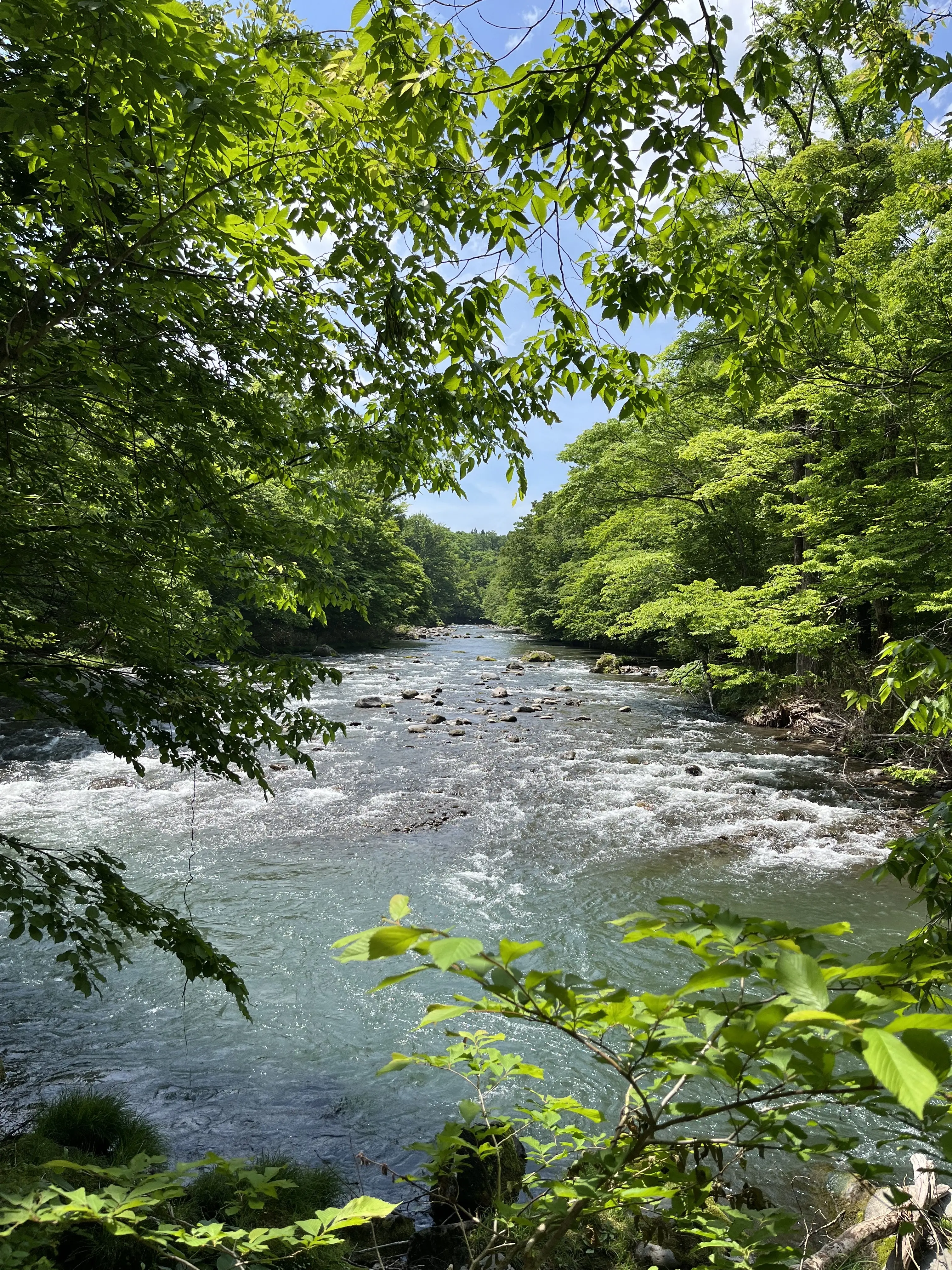 Oirase-Keiryu-Hiking-2