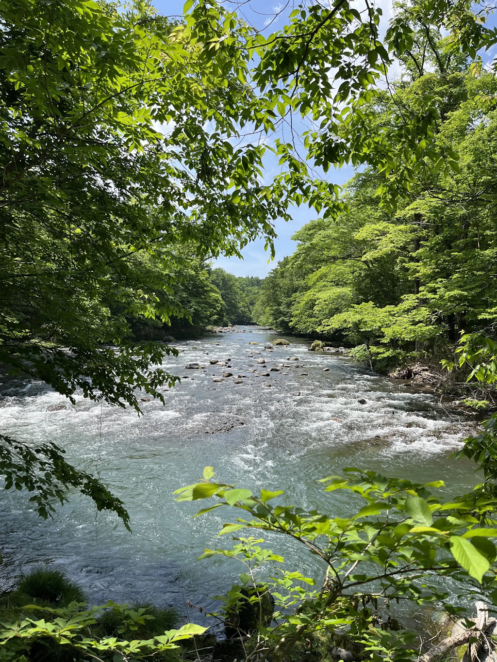 Oirase-Keiryu-Hiking-2