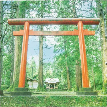 公式 塚田農場 24時間ネット予約可