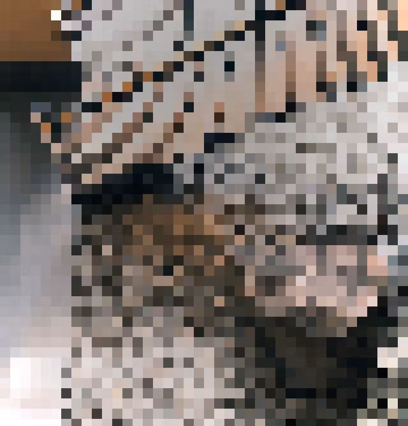 Gallery image undefined