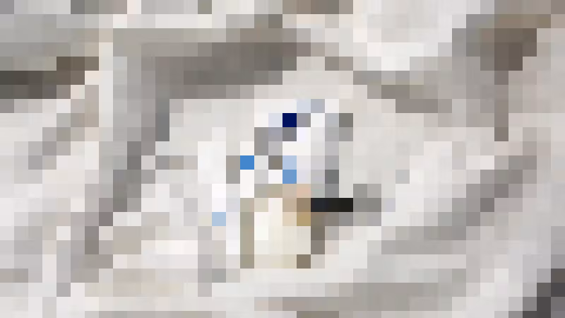 Gallery image undefined