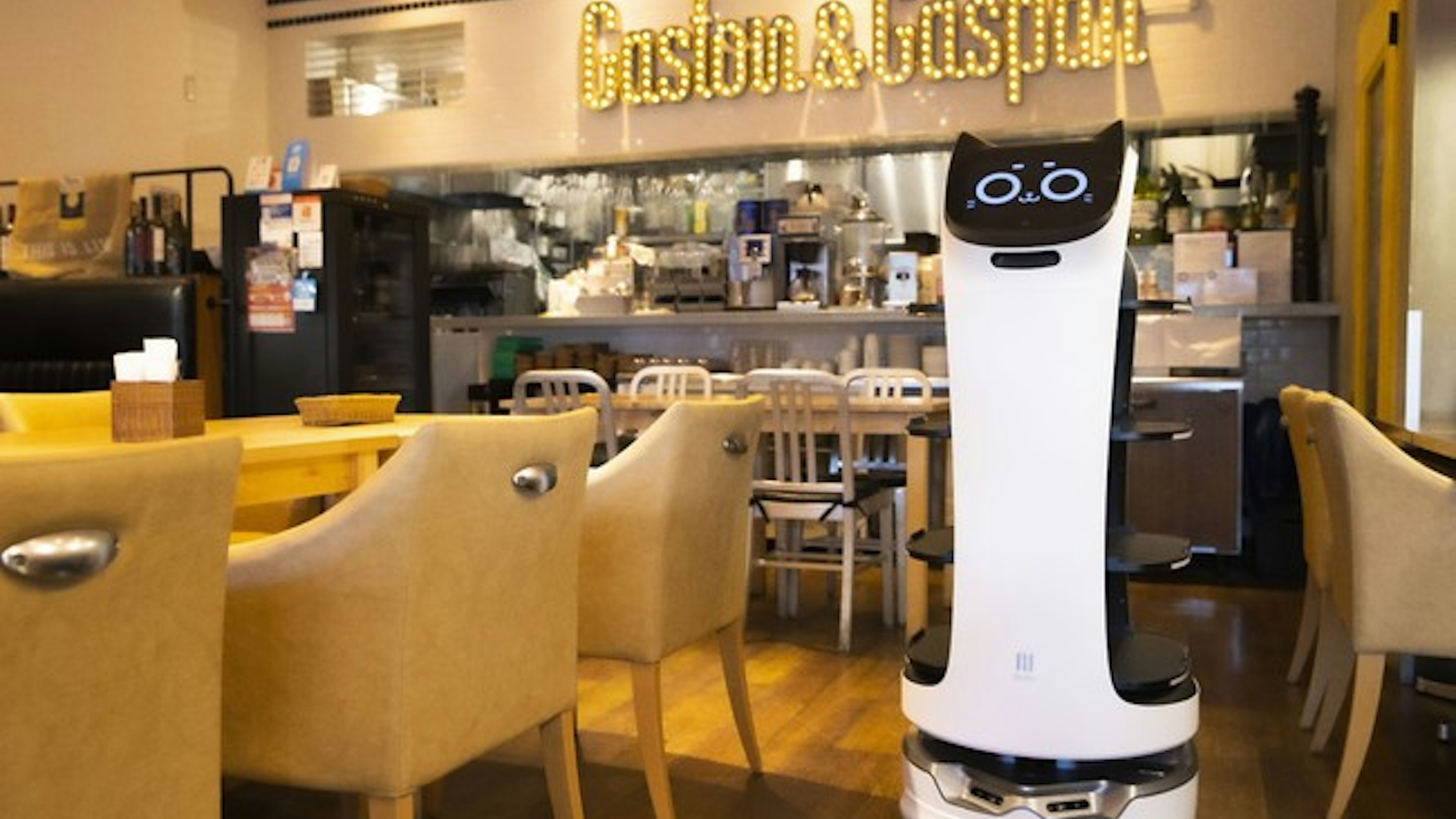 ネコ型ロボットに配膳をお任せ！DFAが自動配膳ロボット【BellaBot】を都内レストランに試験導入のキービジュアル