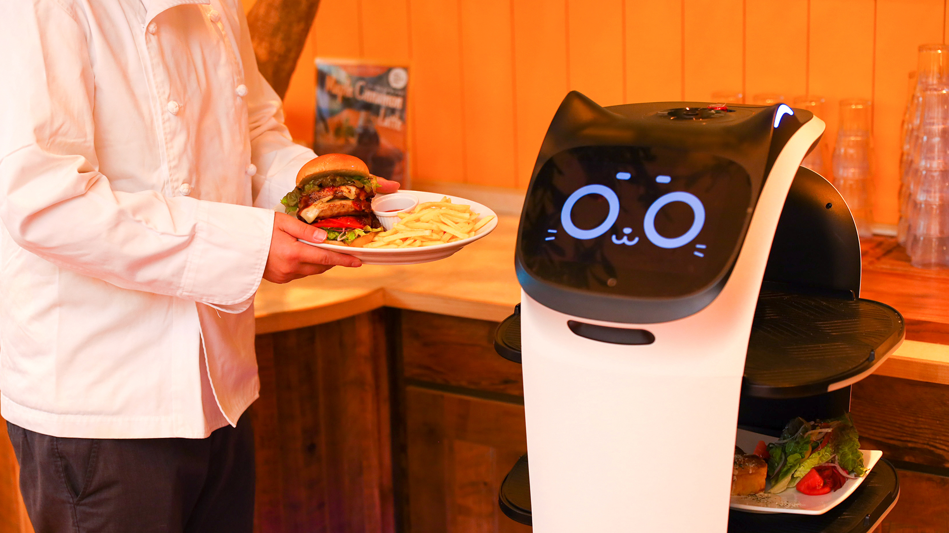 配膳ロボットに関する世代別の意識調査】飲食店での配膳ロボット接客、「抵抗感なし」シニア世代が最も多く半数の49.5%が回答！Z世代の見解は？ | DFA Robotics
