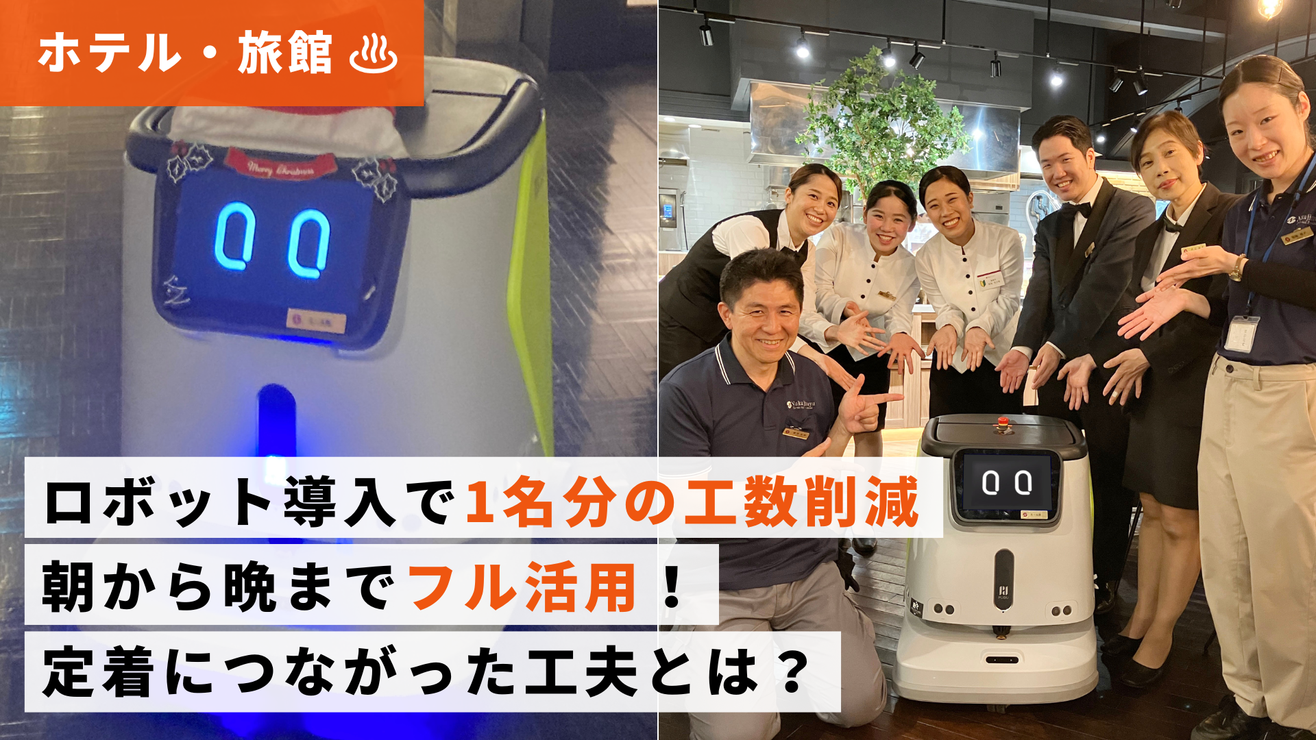 ロボットのご紹介 | DFA Robotics