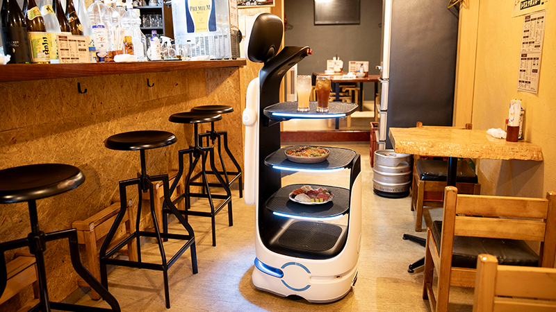 ロボットのご紹介 | DFA Robotics