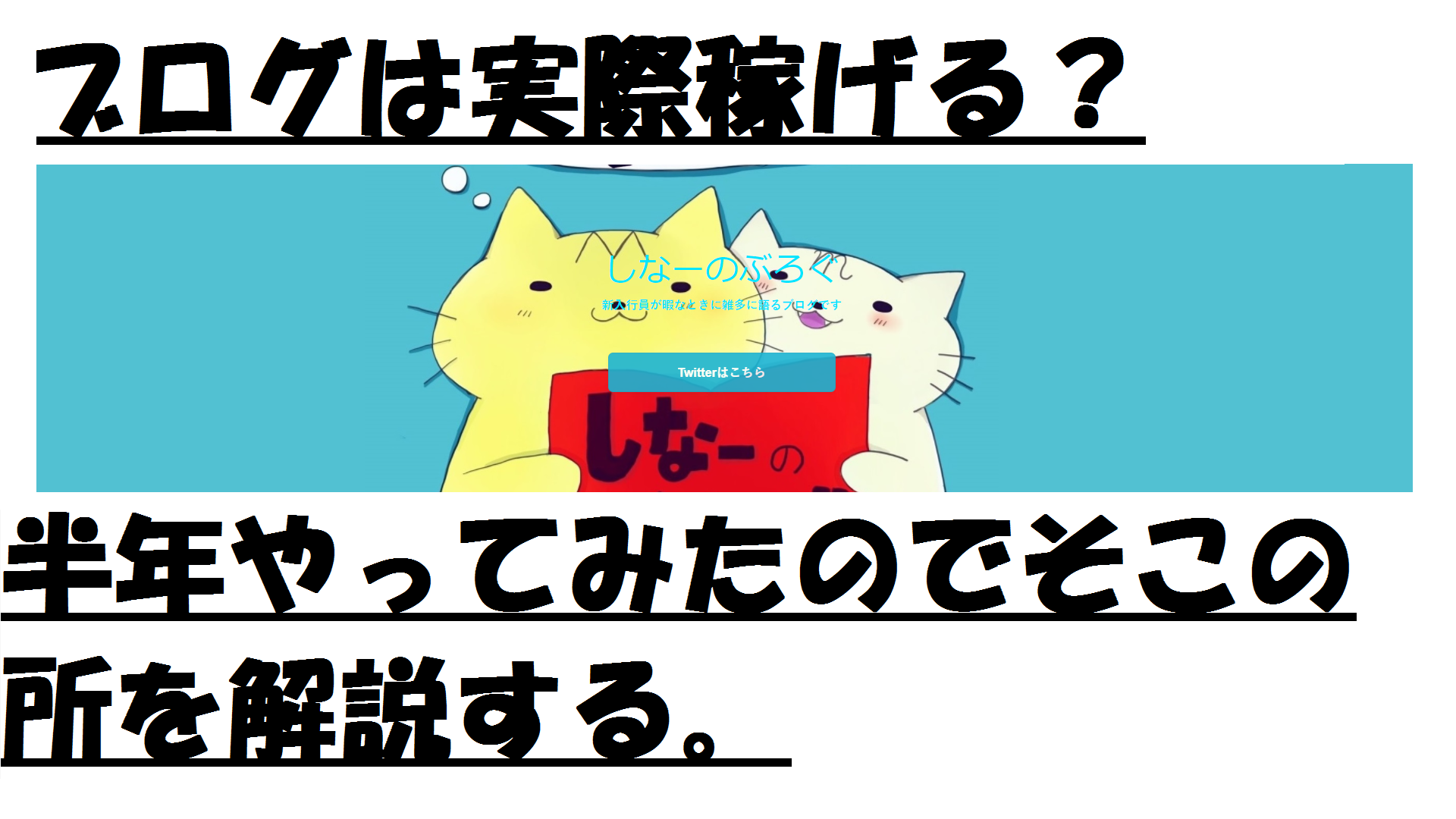 ブログを始めて半年経ったので、当ブログの収益についてちょっと解説してみたいと思う