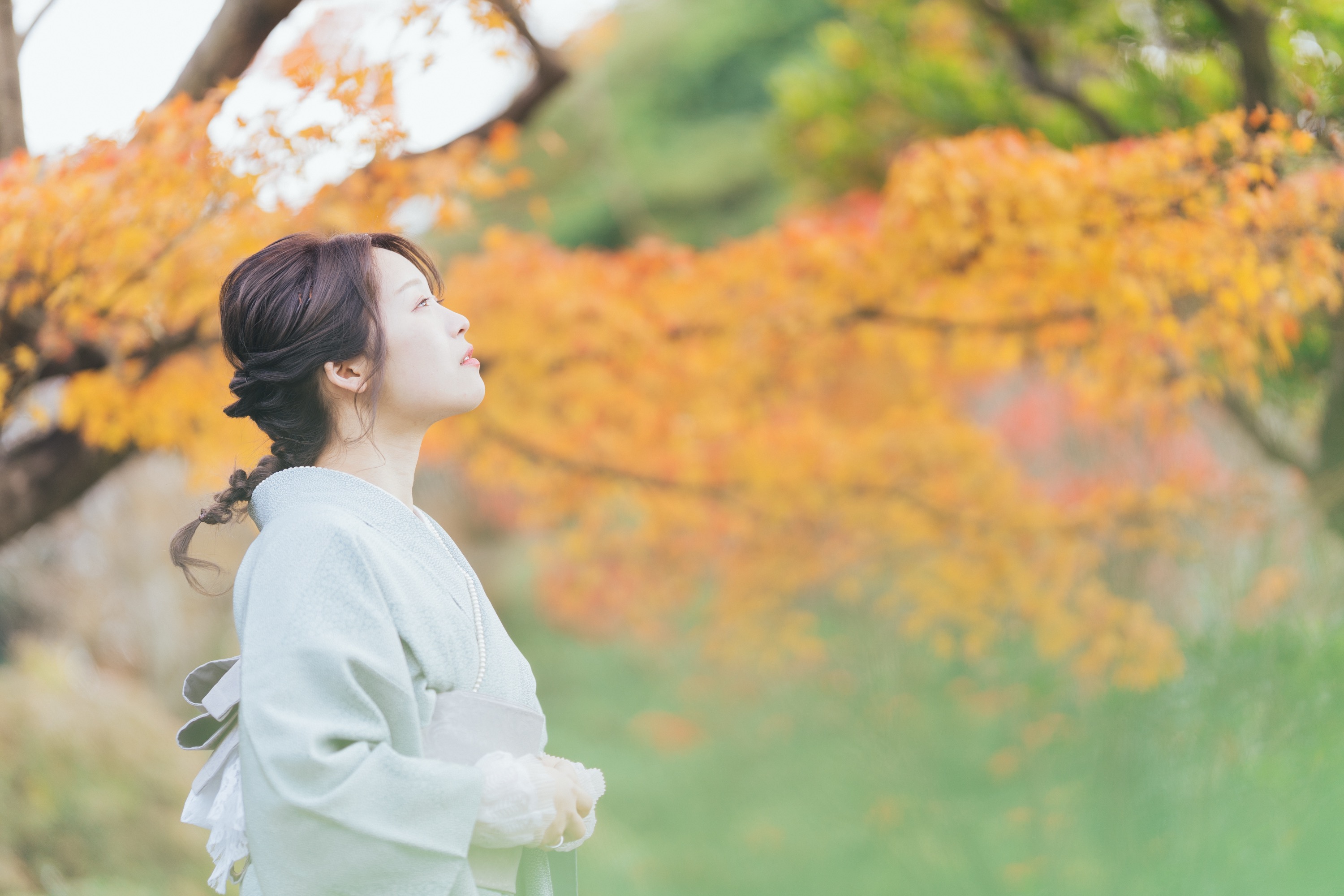 紅葉を見上げる着物姿の女性の横顔