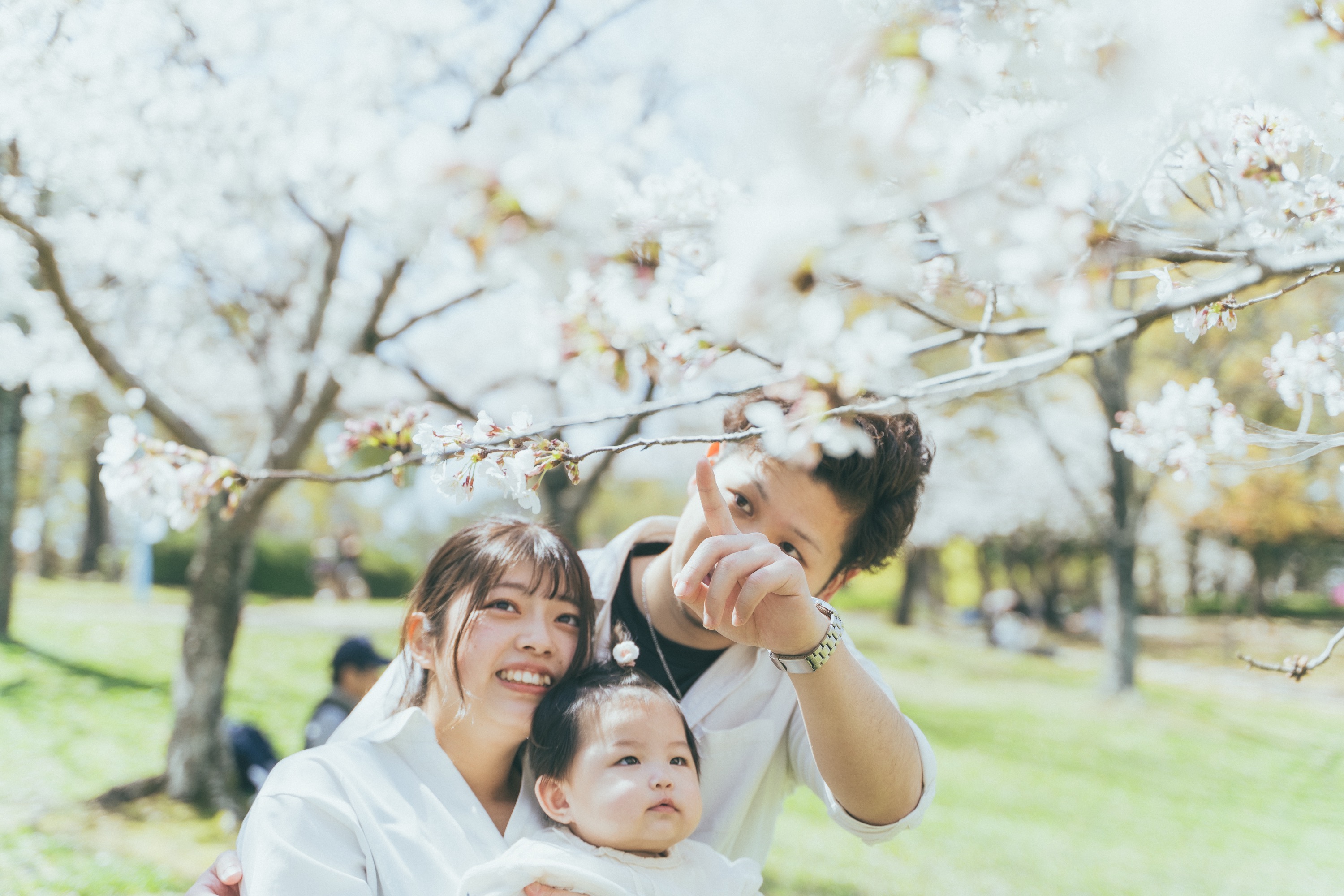 桜の枝を指差すパパと見上げる赤ちゃん