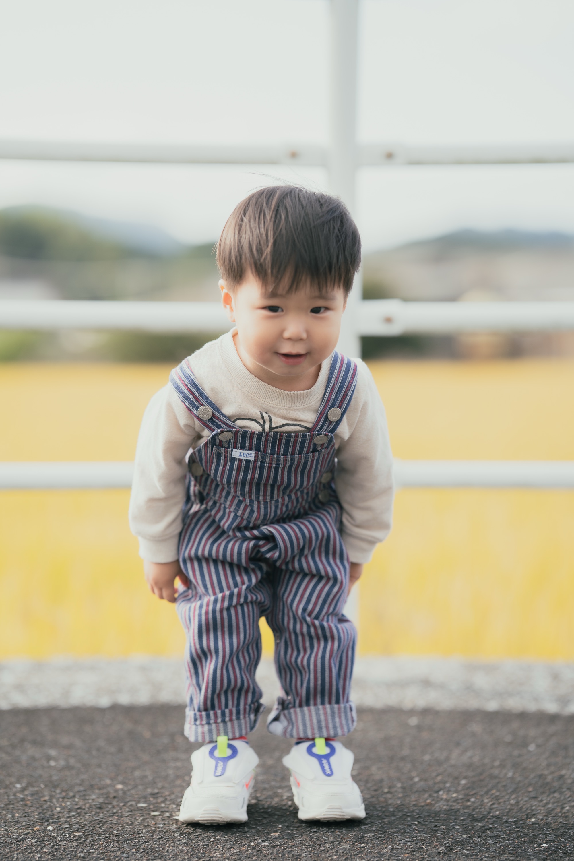 田んぼの前でこちらを覗き込む男の子