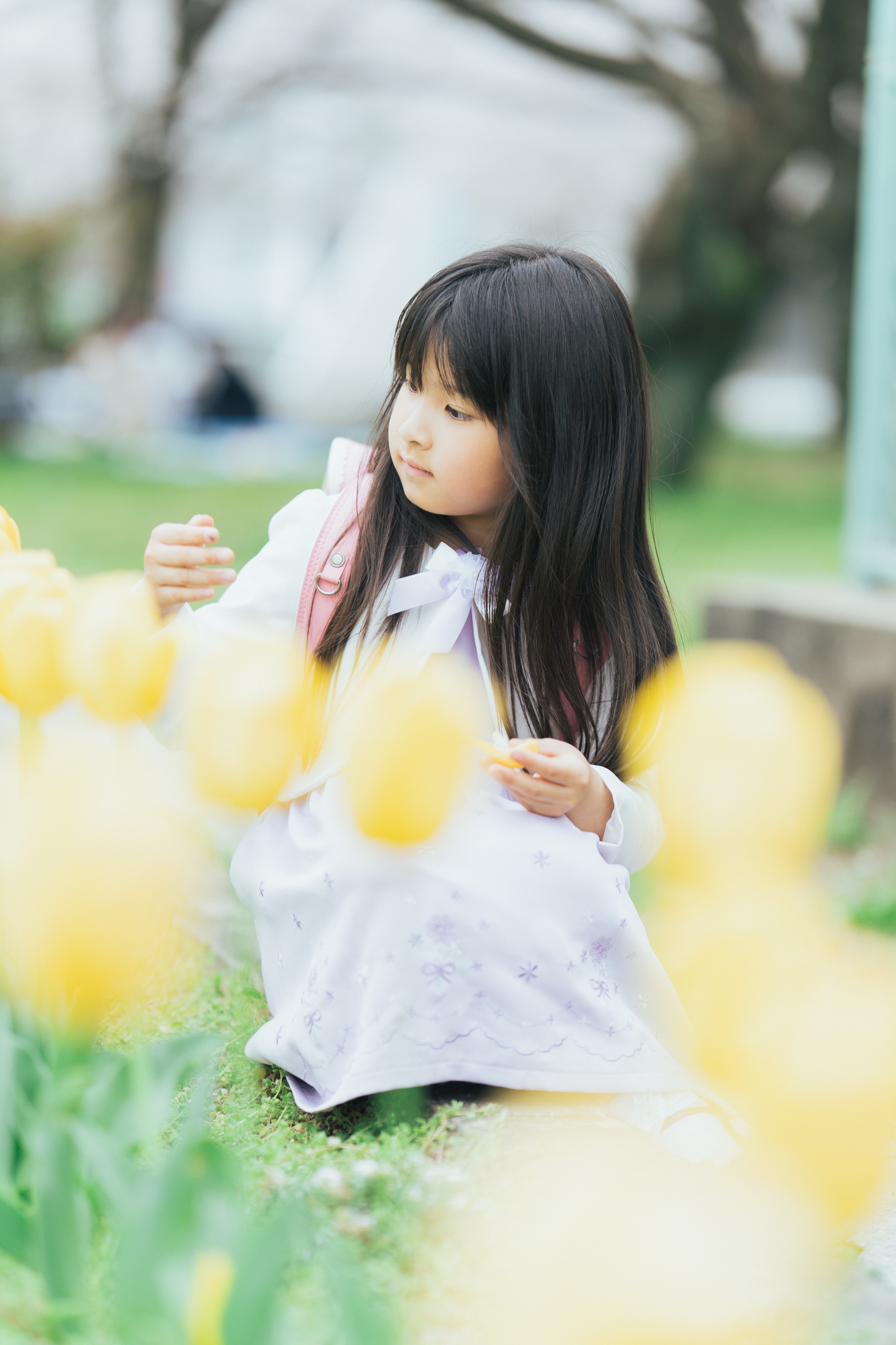 黄色いチューリップのそばに座る女の子