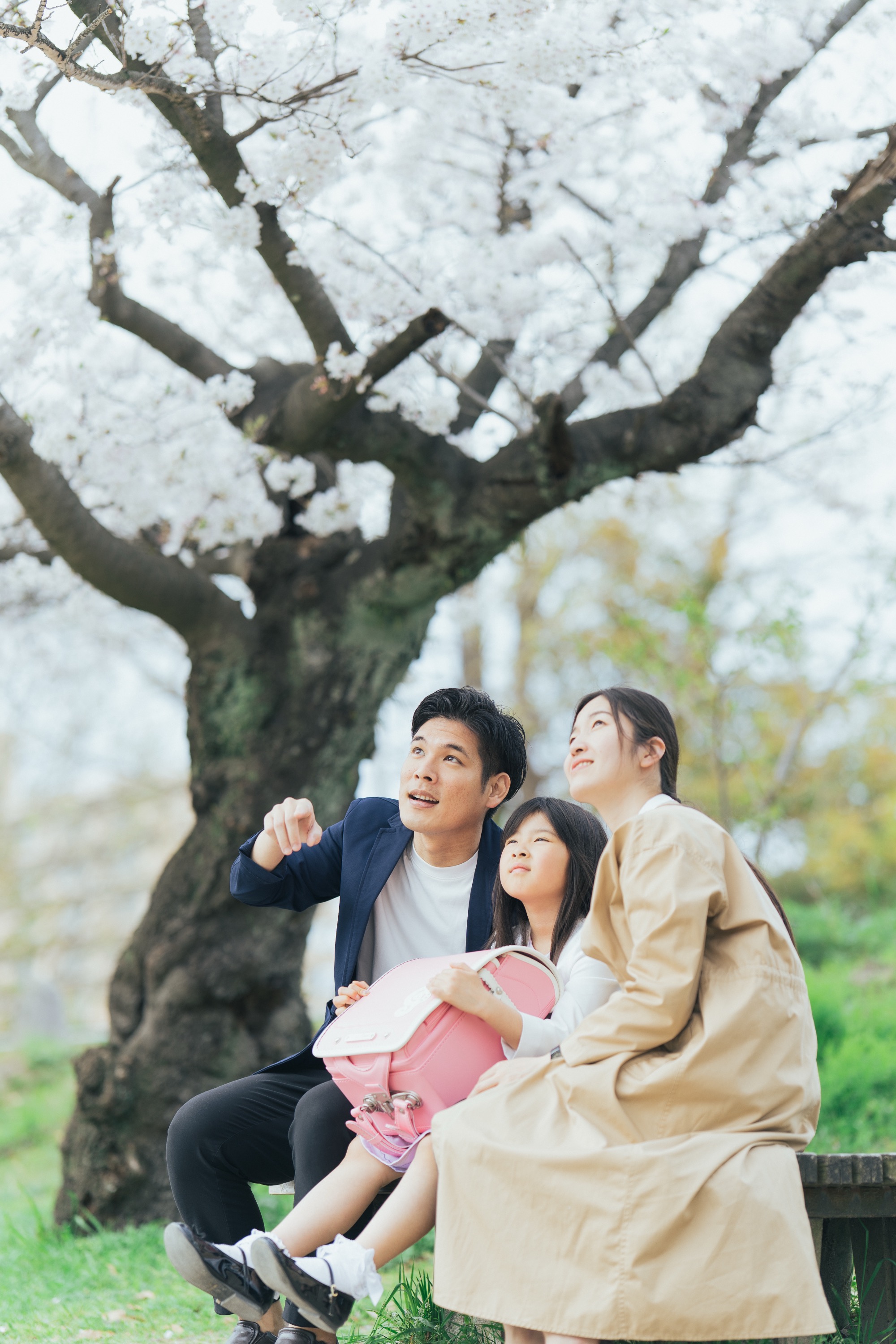桜の木の下でベンチに座る家族