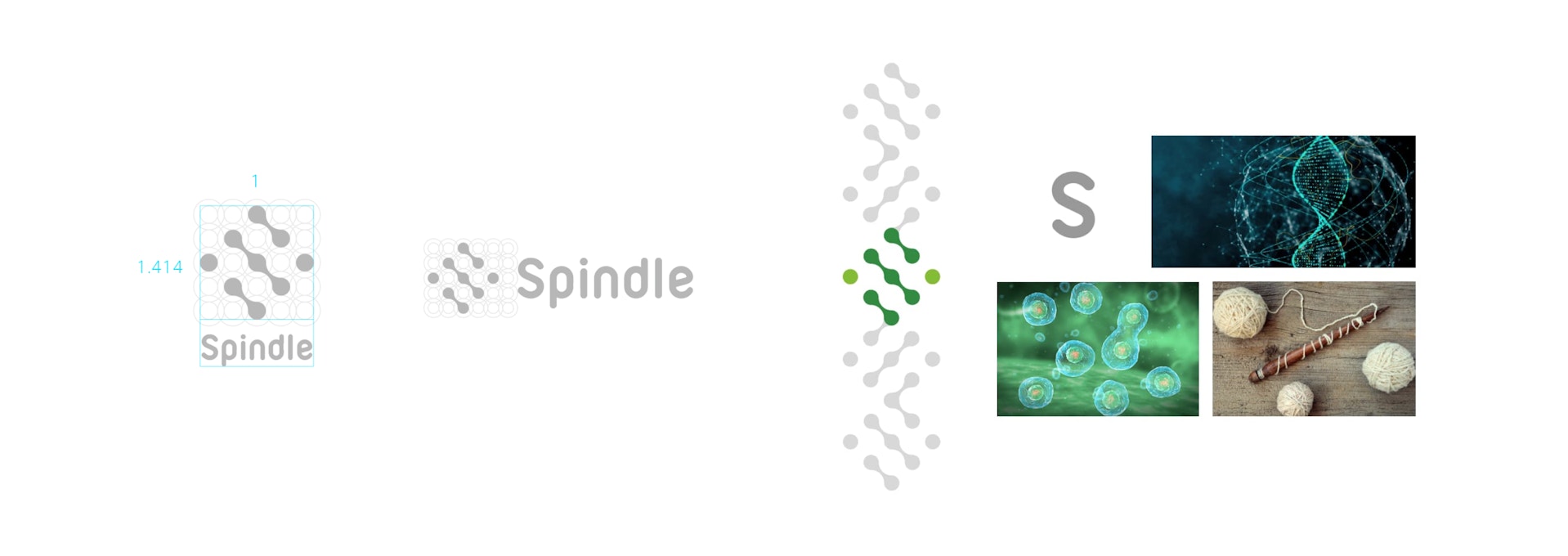 Spindleのロゴの成り立ち　白銀比を用いられてデザインされており、　モチーフとしてアルファベットのSの形、遺伝子、紡錘体などを取り入れて作られている