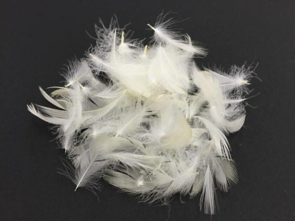 Francfranc × エアウィーヴ コラボレーション商品販売開始 - Francfranc