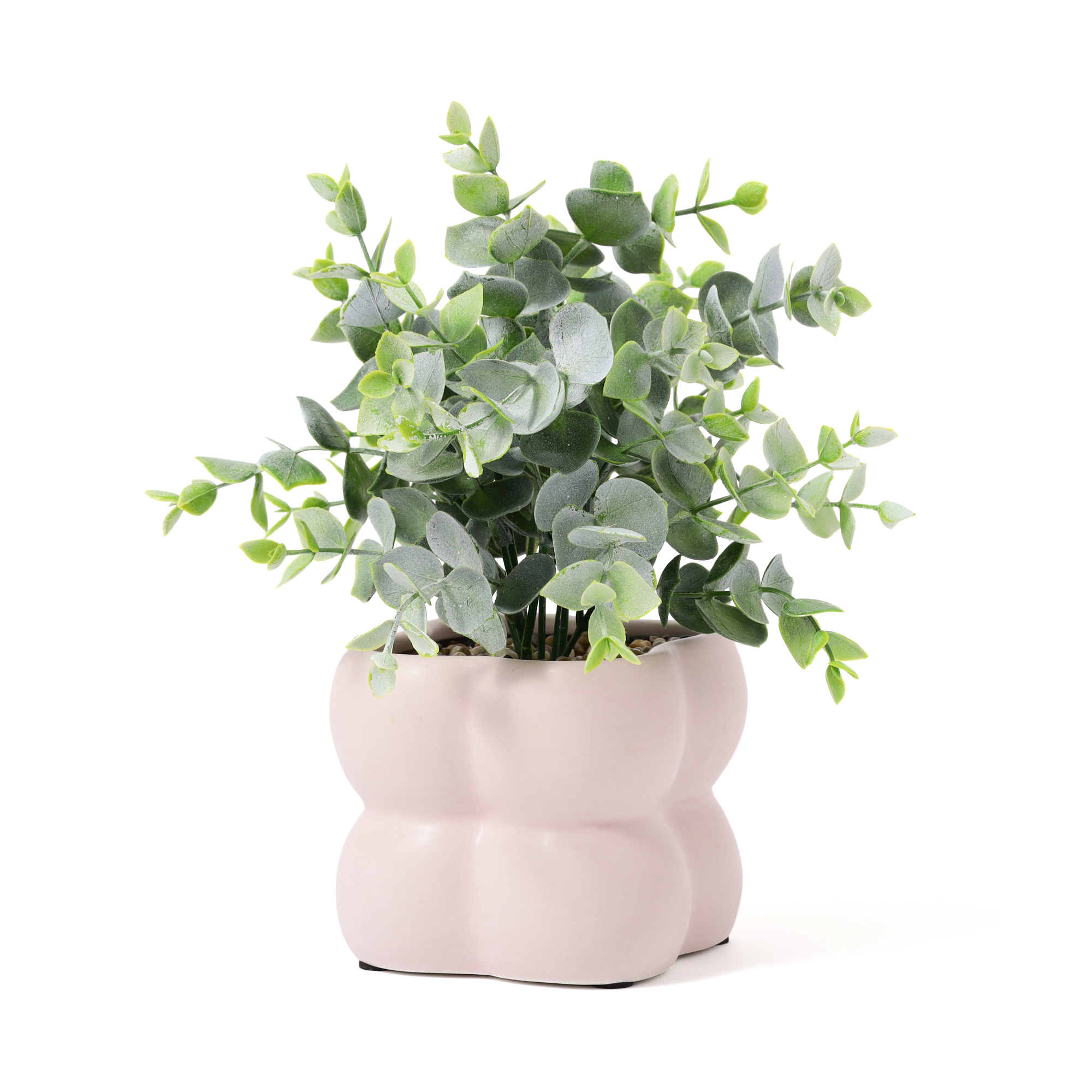 ポット付きアートグリーン ユーカリ（1,800円）