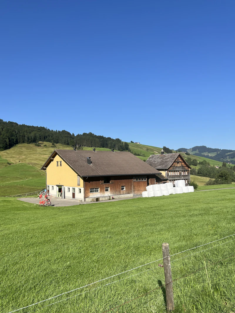 Gallery image 10