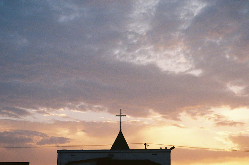 Gallery image 12