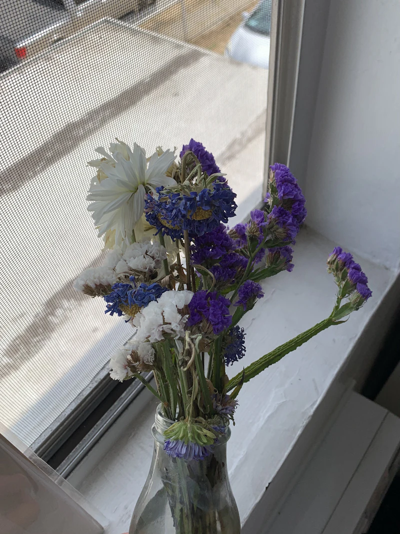 Gallery image 25