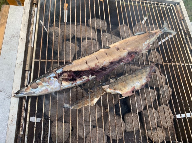 くっつきやすい網でも魚を綺麗においしく焼ける方法を教えて！」【お願い！たけだバーベキュー #10】 | ソトレシピ｜キャンプ飯レシピ＆アウトドア ライフ・プラットフォーム