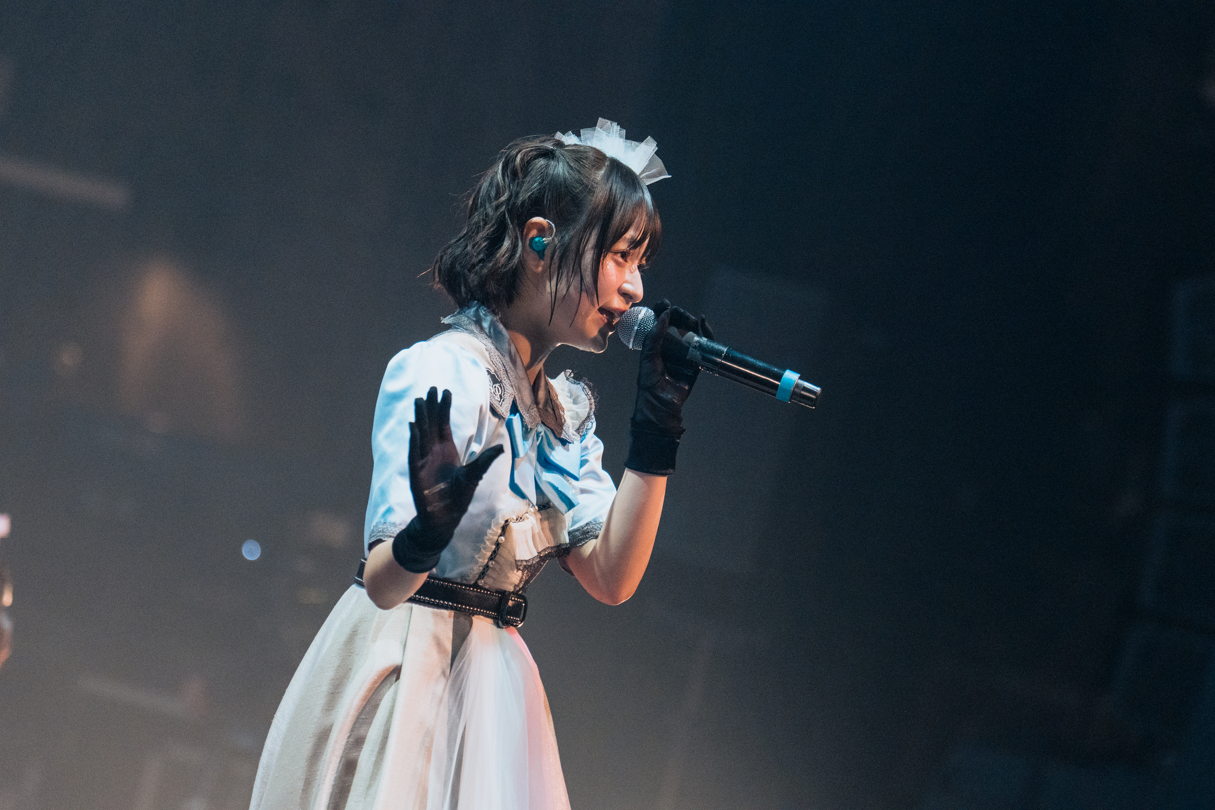 ライブ写真 8