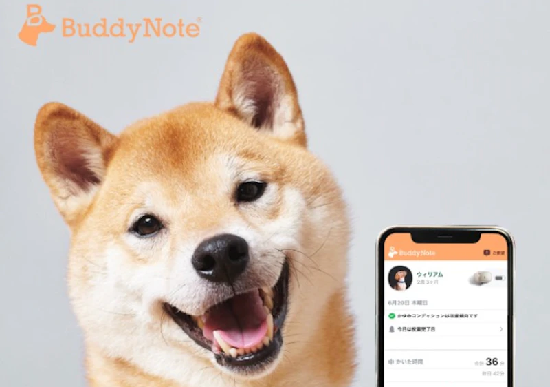 BuddyNote「ペット関連新規事業 WEBサイト制作」