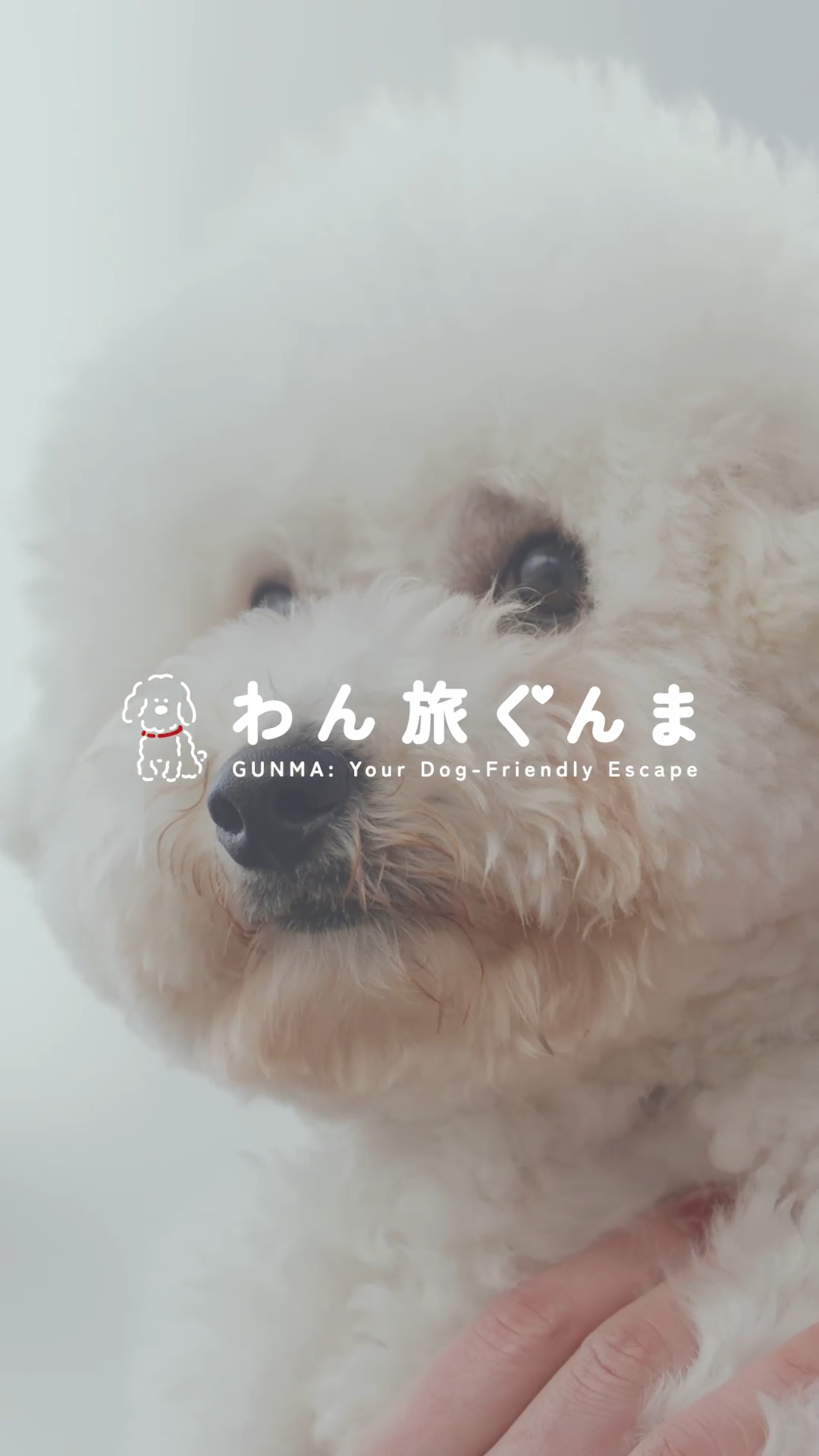 群馬県「わん旅ぐんま」ペットツーリズム推進プロジェクト