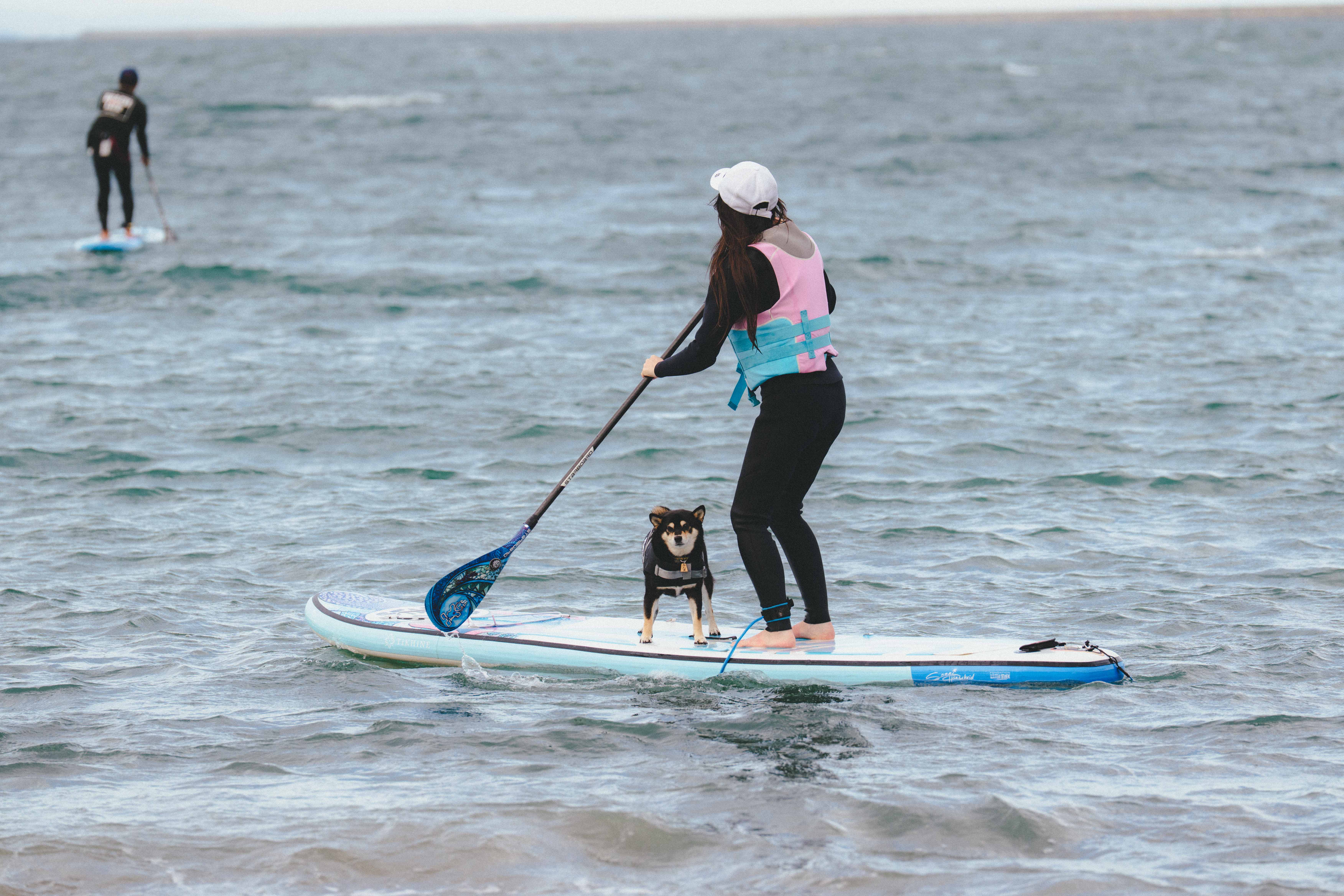 茨城県「ペットツーリズムマーケティング調査」メディアツアー実施