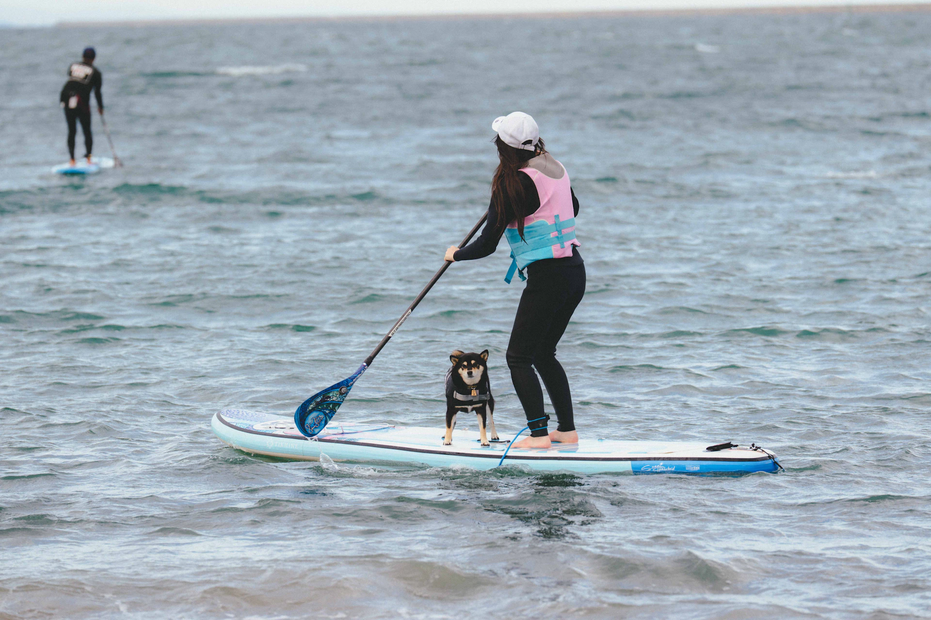 茨城県「ペットツーリズムマーケティング調査」メディアツアー実施