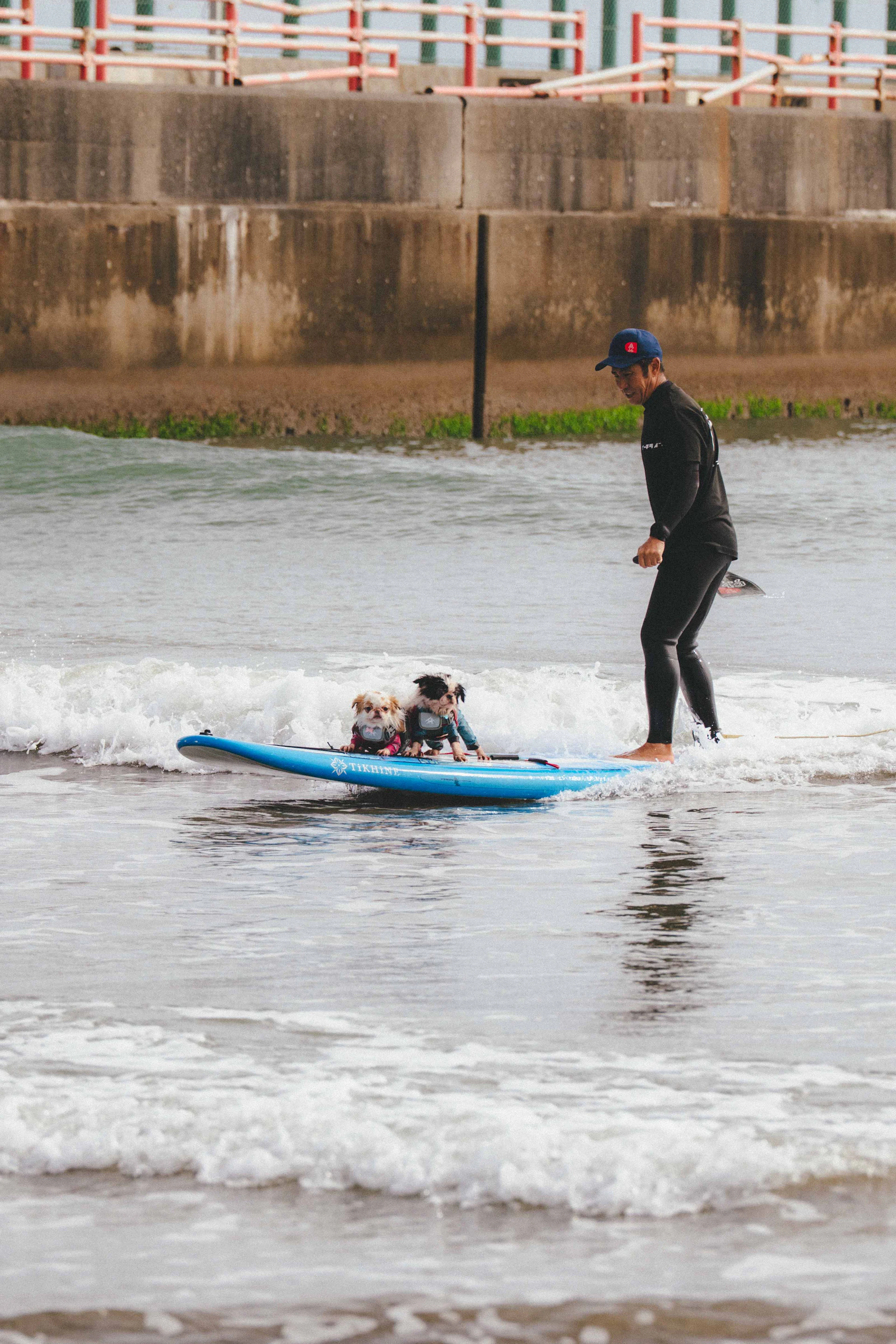 茨城県「ペットツーリズムマーケティング調査」メディアツアー実施