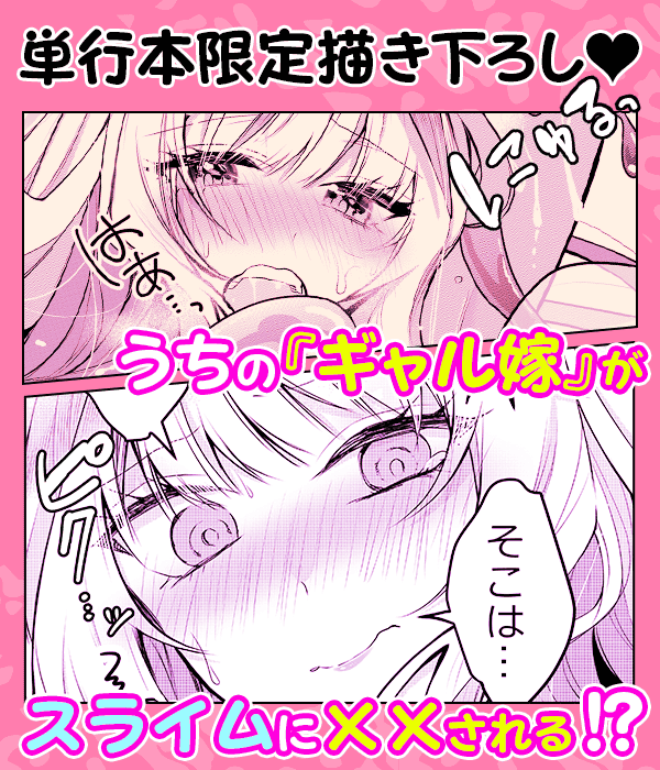 見どころ画像