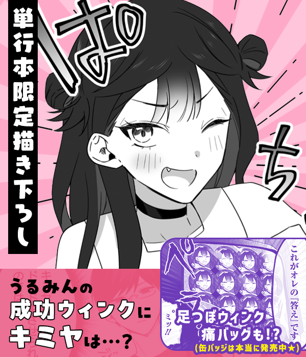 見どころ画像