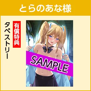 とらのあな様/有償特典「タペストリー」