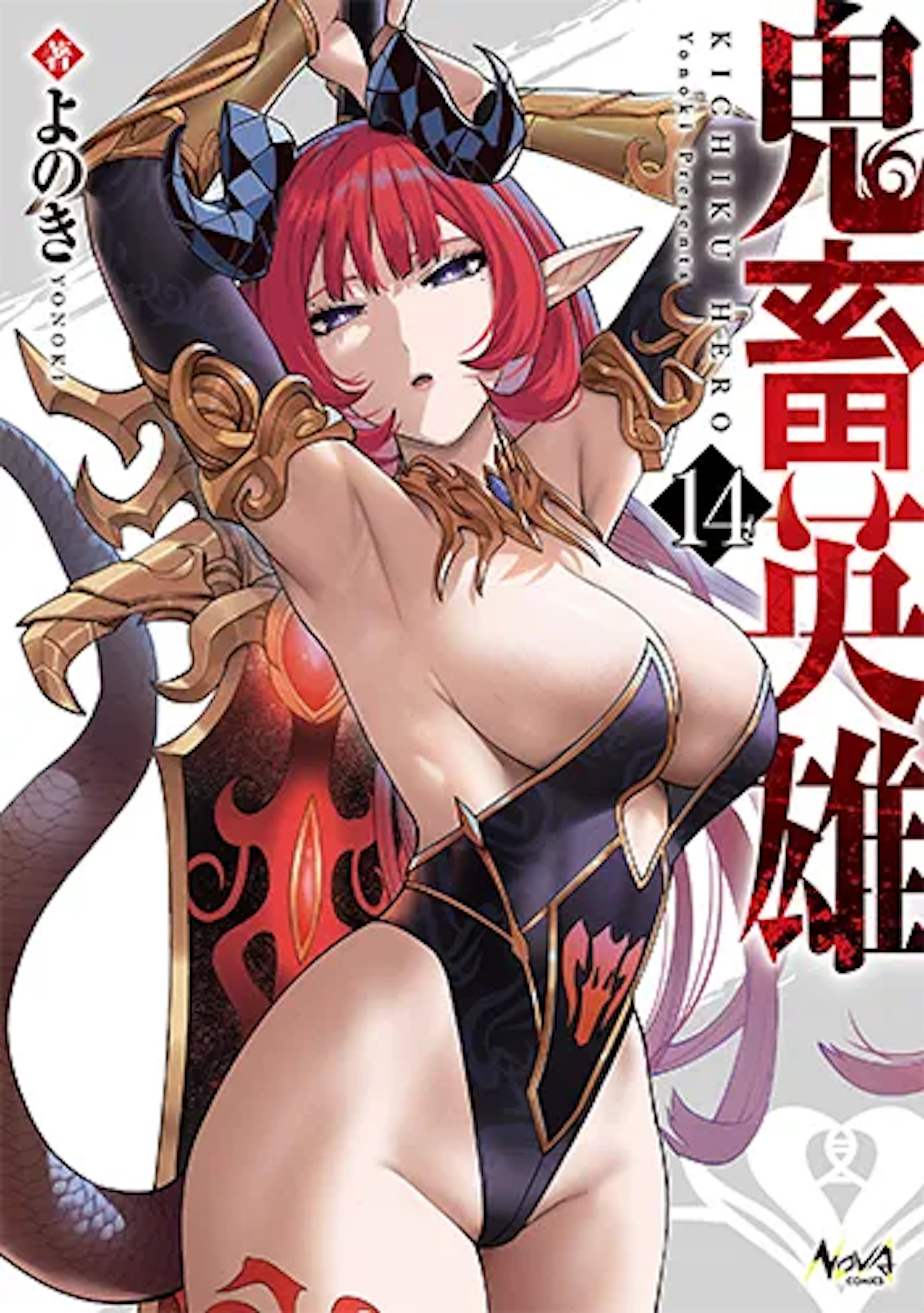 鬼畜英雄(14)