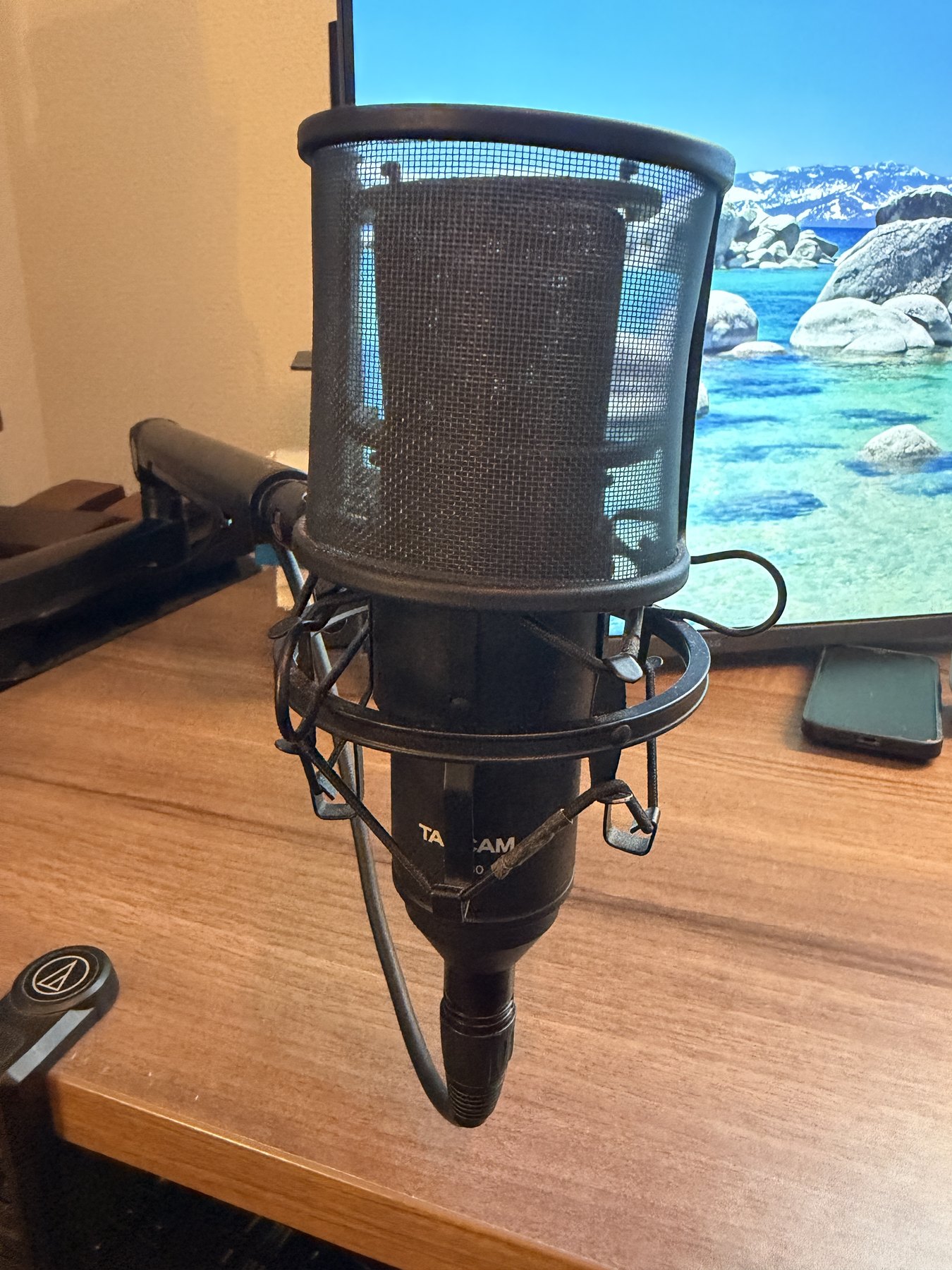 XLR コンデンサマイク TASCAM TM-80。Alterzone ALZ-M3 のアームに吊り、口元に保持している