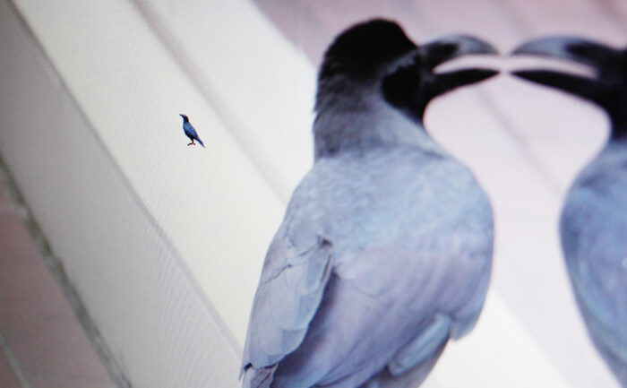 カラスのマウスカーソル。