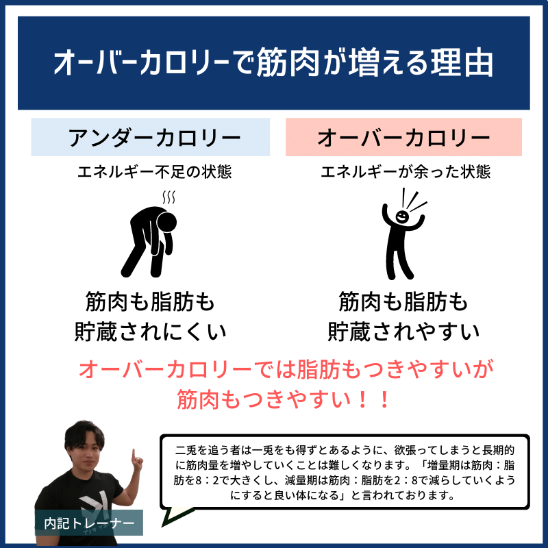 トレーニングしても筋肉が増えない理由はカロリー設定にあり 現役トレーナーが詳しく解説