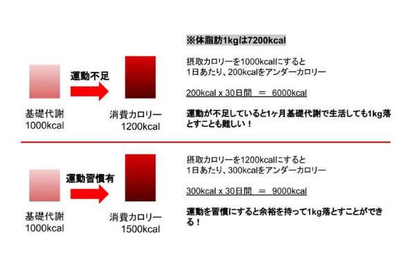 有酸素運動はダイエットに必要？現役トレーナーが詳しく解説します！