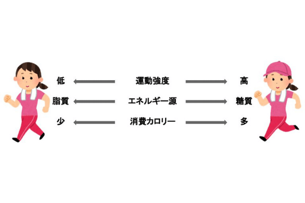 有酸素運動はダイエットに必要 現役トレーナーが詳しく解説します