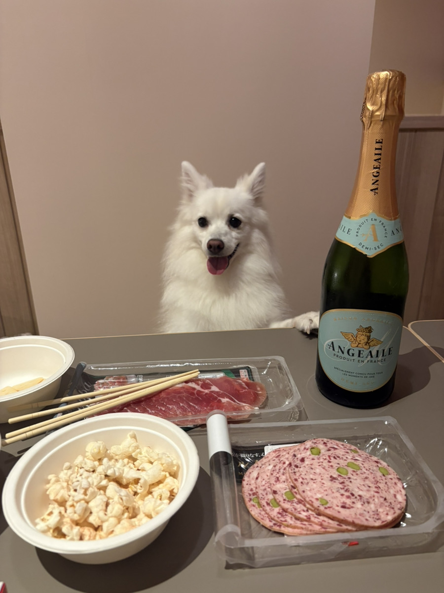 愛犬と部屋で晩酌をする様子