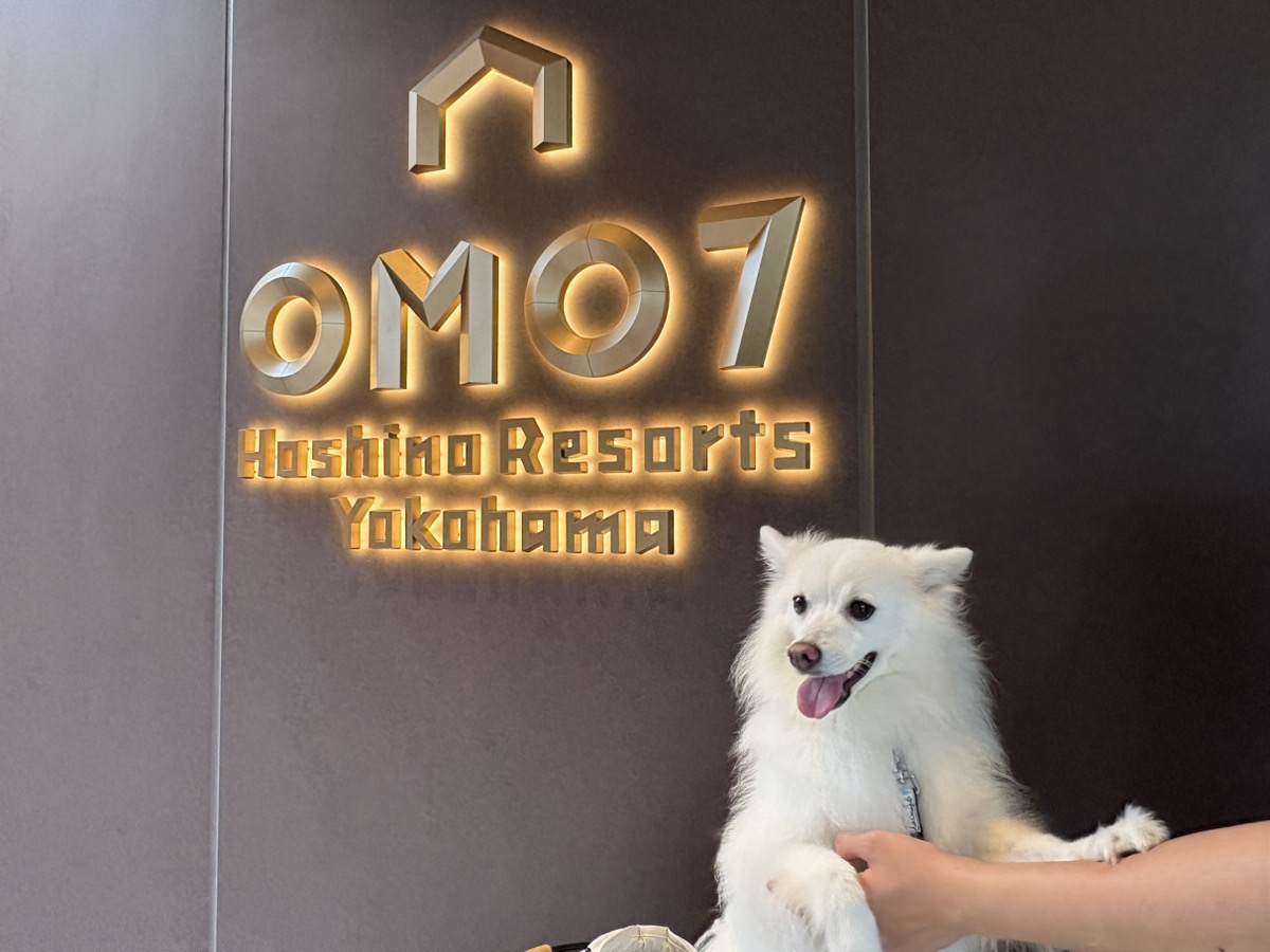 OMO7横浜の入口ロゴと愛犬のメル