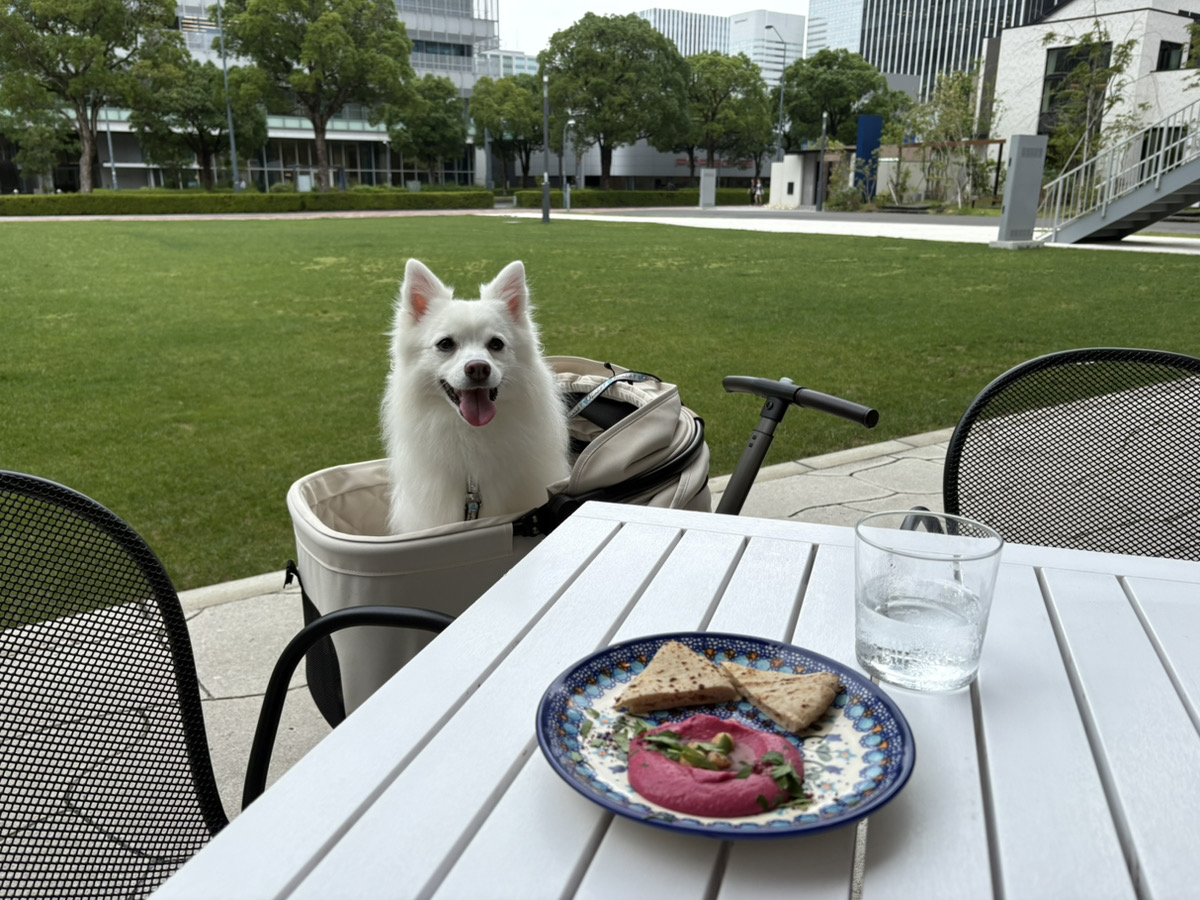 Trattoria Tabuleのテラス席と愛犬のメル