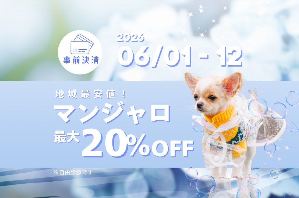 【6/12まで】マンジャロ最大20%オフ🌈夏本番前にダイエットを頑張りたい方へ