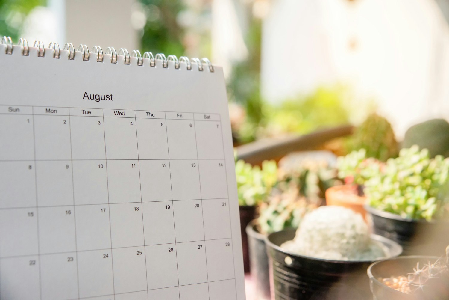 脱毛の理想的なペースとは?短期間で効率的に完了する方法も紹介