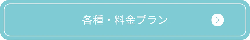 イデア美容皮膚クリニック千葉船橋院各種料金プラン