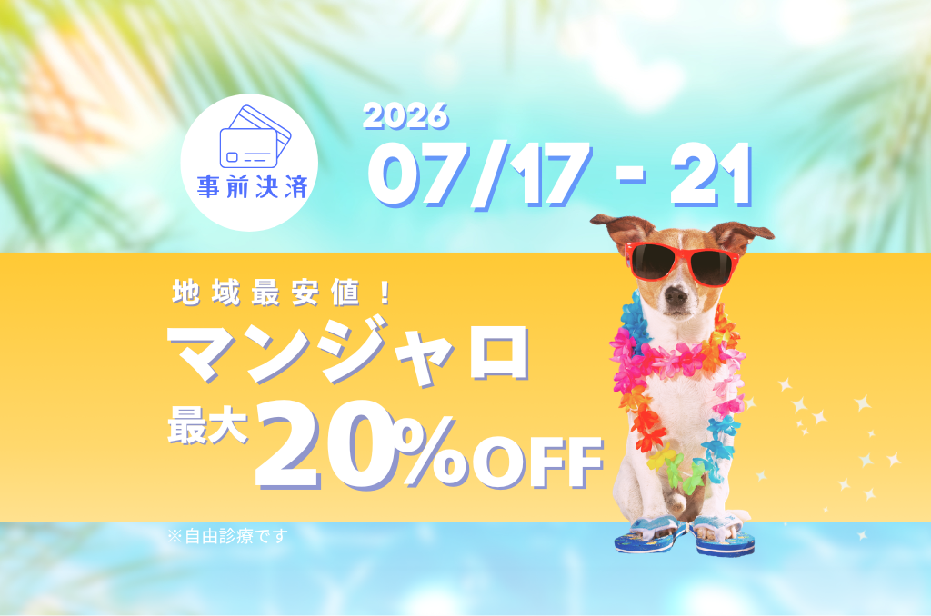 【7/21まで】マンジャロ最大20%オフ🌈夏のダイエットを頑張りたい方へ
